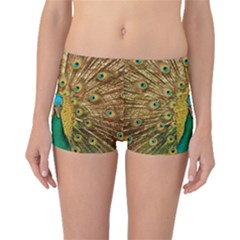 Peacock Feather Bird Peafowl Boyleg Bikini Bottoms by Cemarart