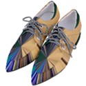 Colorful Centroid Line Stroke Pointed Oxford Shoes View2