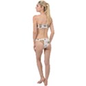 Bear Cartoon Background Pattern Seamless Animal Classic Bandeau Bikini Set View2