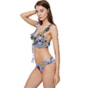 Cat Cat Background Animals Little Cat Pets Kittens Low Cut Ruffle Edge Bikini Set View2