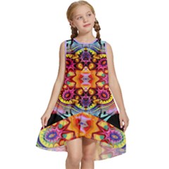 Pink Florales Muster Kids  Frill Swing Dress by 2607694c