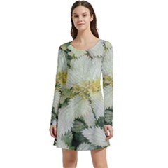 Enchanting Foliage Sharp Edged Leaves In Pale Yellow And Silver Bk Long Sleeve Velour Skater Dress by dflcprintsclothing