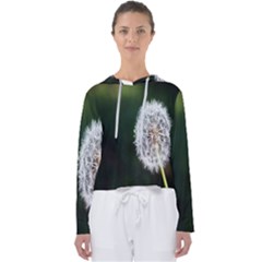 White Flower Women s Slouchy Sweat by Azkajaya