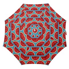 Illustrations Watermelon Texture Pattern Straight Umbrellas by anzea
