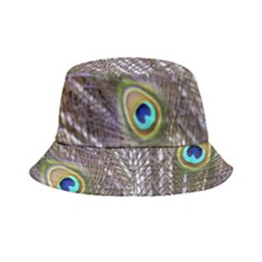 Peacock Bird Feathers Plumage Peacock Bucket Hat by Perong