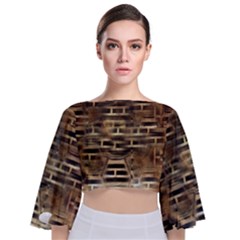 Textures Brown Wood Tie Back Butterfly Sleeve Chiffon Top by anzea
