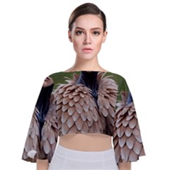 Digital Rebel (14) Tie Back Butterfly Sleeve Chiffon Top by 1xmerch