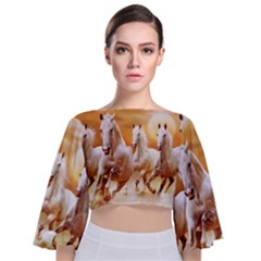 Seven Horses, Sun Tie Back Butterfly Sleeve Chiffon Top by kyorashop23