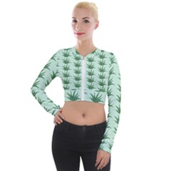 Aloe Plants Pattern Scrapbook Long Sleeve Cropped Velvet Jacket by anzea