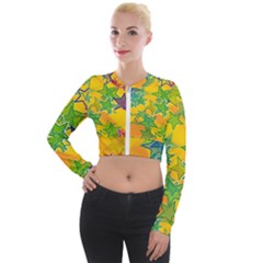 Star Homepage Abstract Long Sleeve Cropped Velvet Jacket by anzea