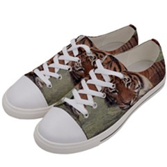 Swimming Tiger Men s Low Top Canvas Sneakers by ExtraAwesomeSauce