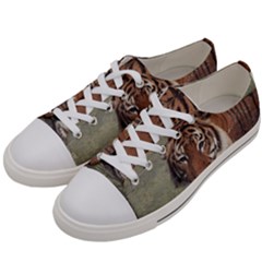 Swimming Tiger Women s Low Top Canvas Sneakers by ExtraAwesomeSauce