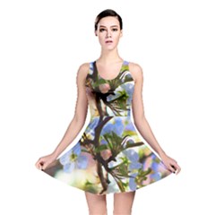 Springtime Pear Tree Blossoms Reversible Skater Dress by ExtraAwesomeSauce