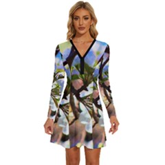 Springtime Pear Tree Blossoms Long Sleeve Deep V Mini Dress  by ExtraAwesomeSauce