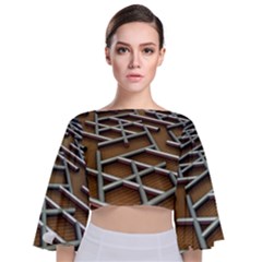 Expression Of Structure Tie Back Butterfly Sleeve Chiffon Top by geonetique