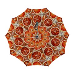 Peorange, Fruit, Citrus Automatic Folding Umbrella With Case (large) by kyorashop23