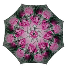 Roses Floral Flowers Nature Pink Romance Romantic Valentines Day Love Automatic Folding Umbrella With Case (medium) by Cemarart