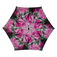 Roses Floral Flowers Nature Pink Romance Romantic Valentines Day Love Automatic Folding Umbrella With Case (small) by Cemarart