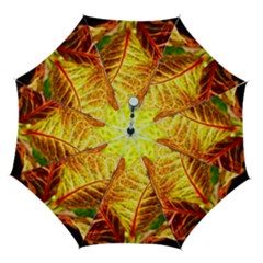 Leaves Plant Pattern Croton Nature Automatic Folding Umbrella With Case (medium) by Sabxi