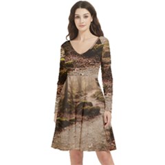 Path Trees Forest Fantasy Long Sleeve V-neck Skater Dress With Pockets by Anend