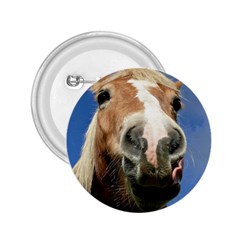 Haflinger  2 25  Button by Siebenhuehner