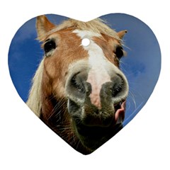 Haflinger  Heart Ornament (two Sides) by Siebenhuehner
