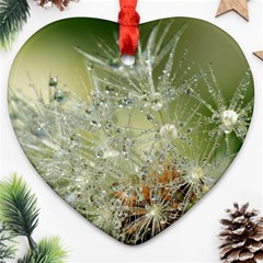 Dandelion Heart Ornament (two Sides) by Siebenhuehner