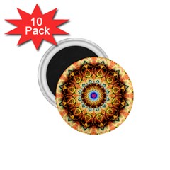 Ochre Burnt Glass 1 75  Button Magnet (10 Pack) by Zandiepants