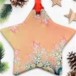 Peach Spring Frost On Flowers Fractal Star Ornament (Two Sides) Front