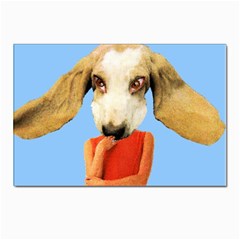 Flighty Postcard 4 x 6  (10 Pack) by AnimalsLol