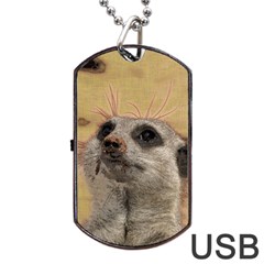 Meerkat 2 Dog Tag Usb Flash (two Sides)  by ImpressiveMoments