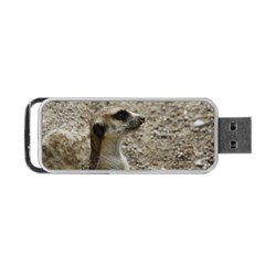 Adorable Meerkat Portable Usb Flash (two Sides) by ImpressiveMoments