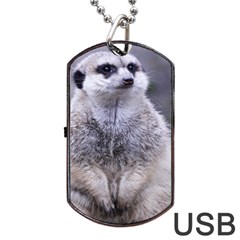 Adorable Meerkat 03 Dog Tag Usb Flash (two Sides)  by ImpressiveMoments