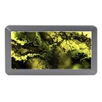 Amazing Fractal 24 Memory Card Reader (Mini) Front