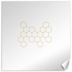 Honeycomb Pattern Graphic Design Canvas 20  X 20  by picsaspassion