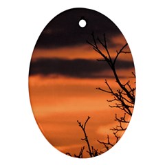 Tree Branches And Sunset Oval Ornament (two Sides) by picsaspassion
