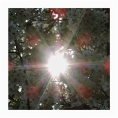 Sun Rays Through White Cherry Blossoms Medium Glasses Cloth (2-side) by picsaspassion