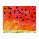 Abstract Watermelon Small Glasses Cloth (2-Side) Back