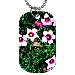 Pink Flowers Over A Green Grass Dog Tag (two Sides) by DanaeStudio