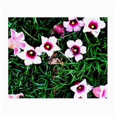 Pink Flowers Over A Green Grass Small Glasses Cloth by DanaeStudio