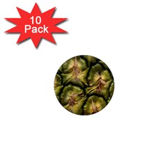 Pineapple Fruit Close Up Macro 1  Mini Magnet (10 Pack)  by Nexatart