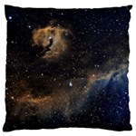 Seagull Nebula Large Cushion Case (One Side) Front