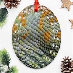 Macro Of Chameleon Skin Texture Background Ornament (oval Filigree) by Simbadda