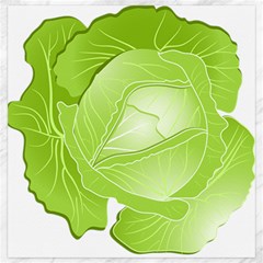 Cabbage Leaf Vegetable Green Canvas 20  X 20   by Mariart