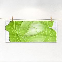 Cabbage Leaf Vegetable Green Cosmetic Storage Cases by Mariart