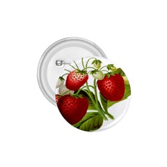 Food Fruit Leaf Leafy Leaves 1 75  Buttons by Nexatart