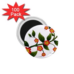 Flower Branch Nature Leaves Plant 1 75  Magnets (100 Pack)  by Celenk