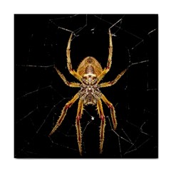 Nsect Macro Spider Colombia Tile Coasters by Celenk