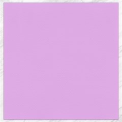 Baby Purple Canvas 16  X 16   by snowwhitegirl