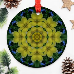 Fantasy Plumeria Decorative Real And Mandala Round Ornament (two Sides) by pepitasart